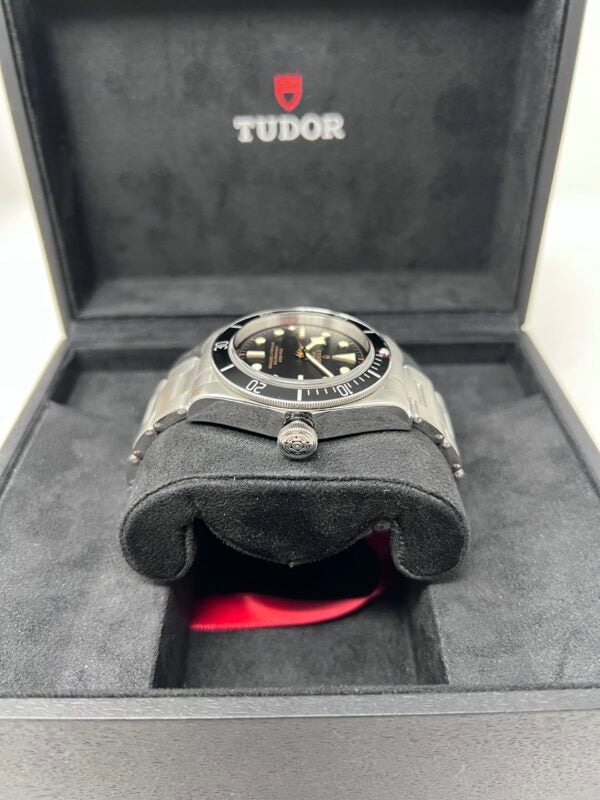 Tudor Black Bay