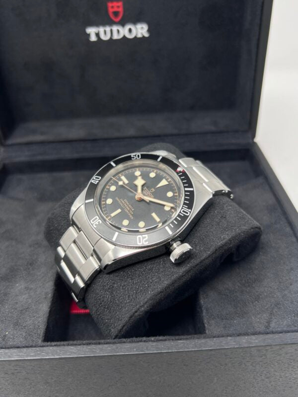 Tudor Black Bay