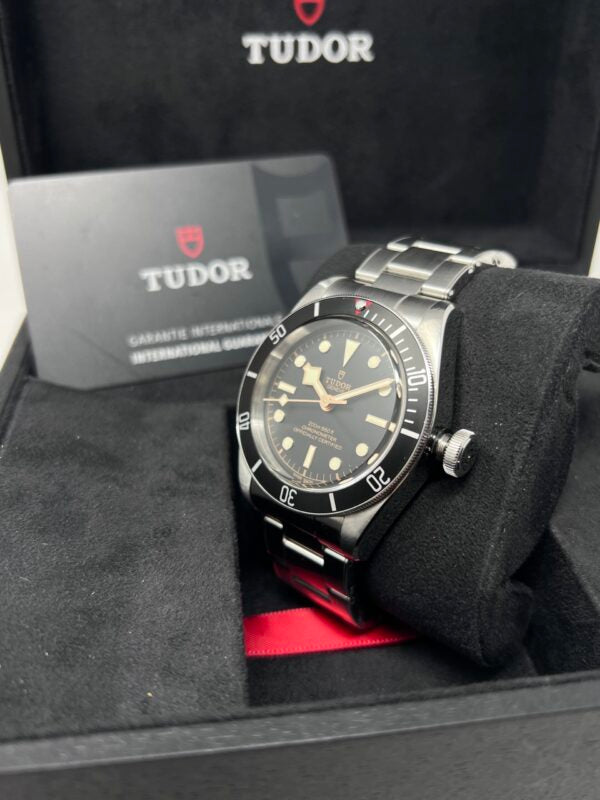 Tudor Black Bay