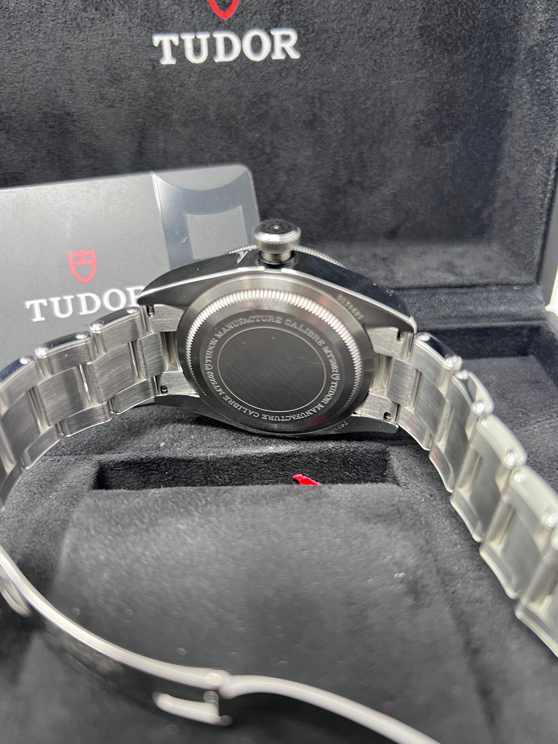 Tudor Black Bay